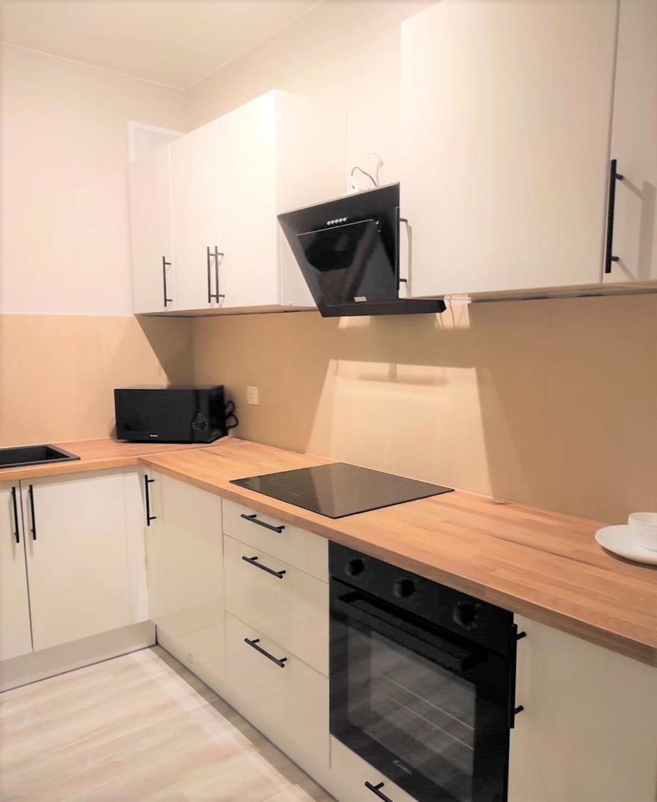 Kitchen or kitchenette, minibar, pet friendly, stove