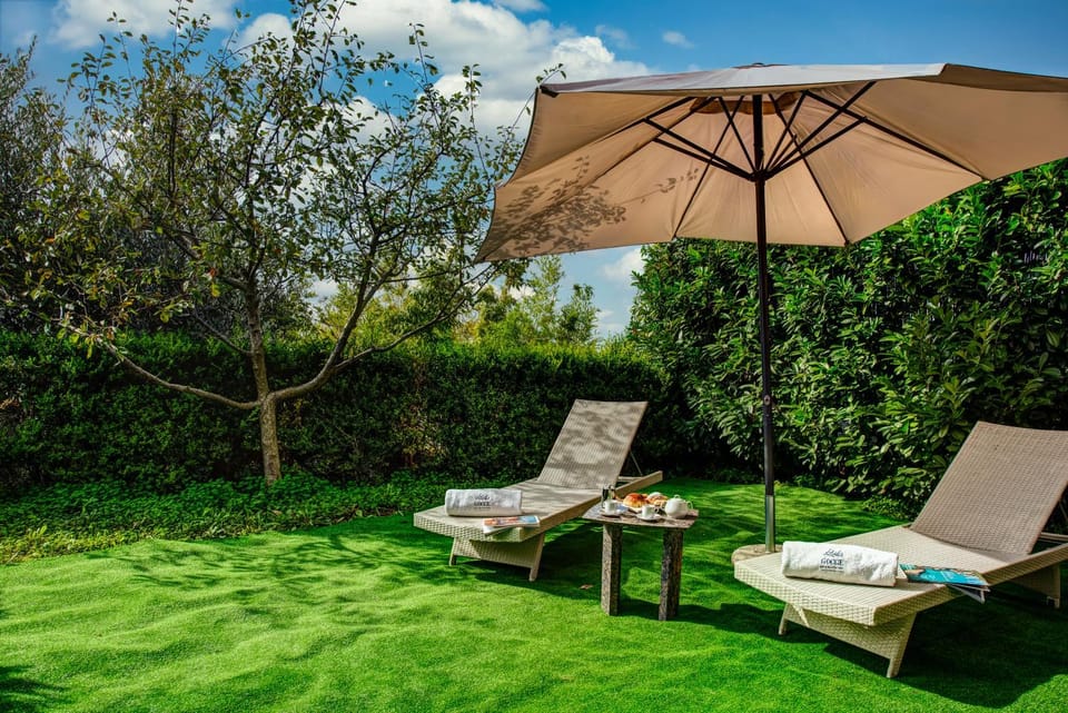 Natural landscape, Garden, Garden, sunbed