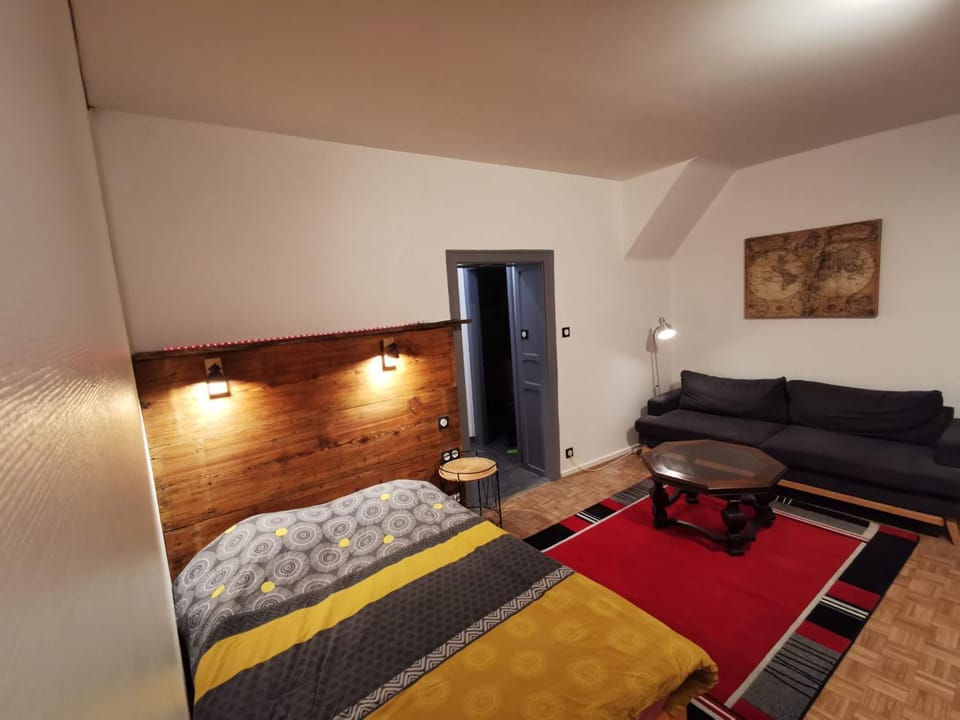 Petit nid douillet ensolleillé Apartment in Grand Est