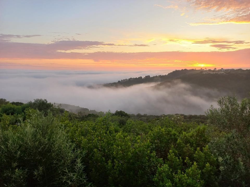 Natural landscape, Sunset