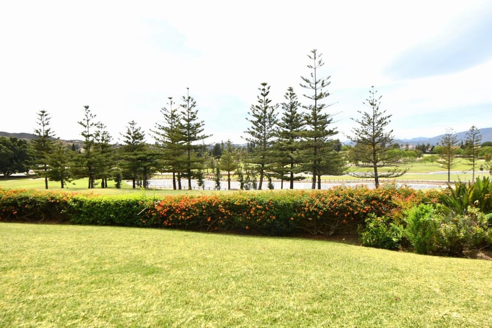 Patio, Garden, Garden view