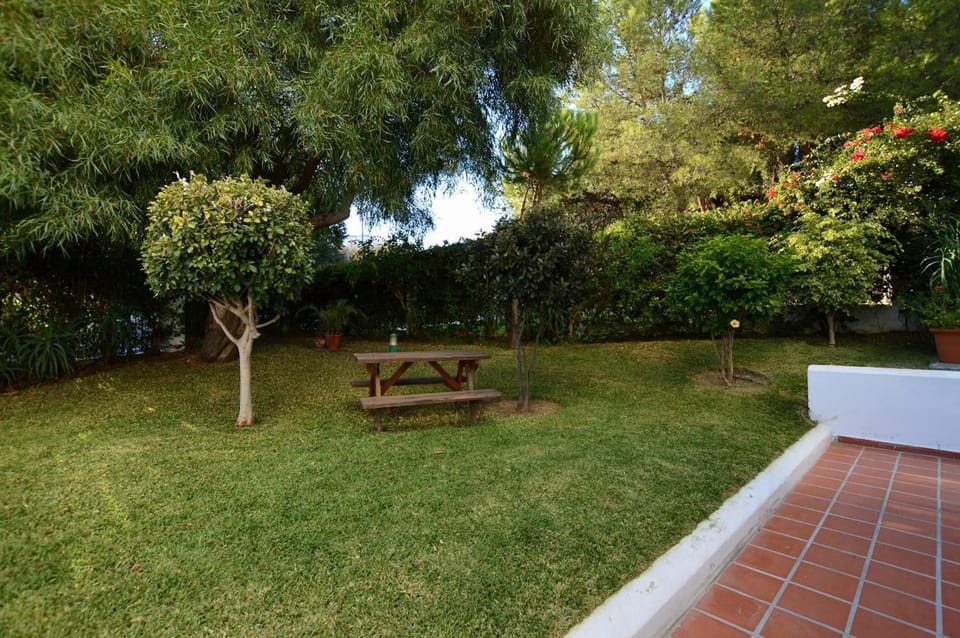 Patio, Garden, Garden view