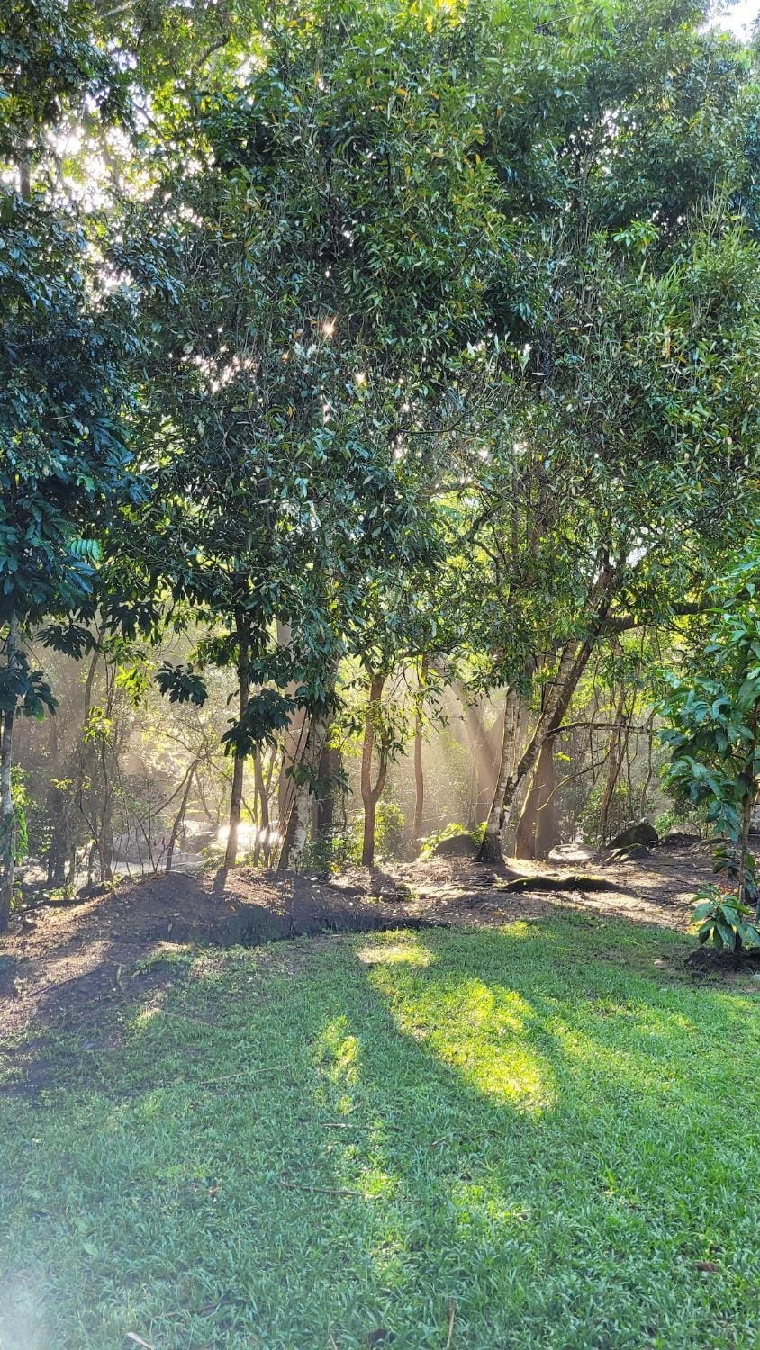 Day, Natural landscape