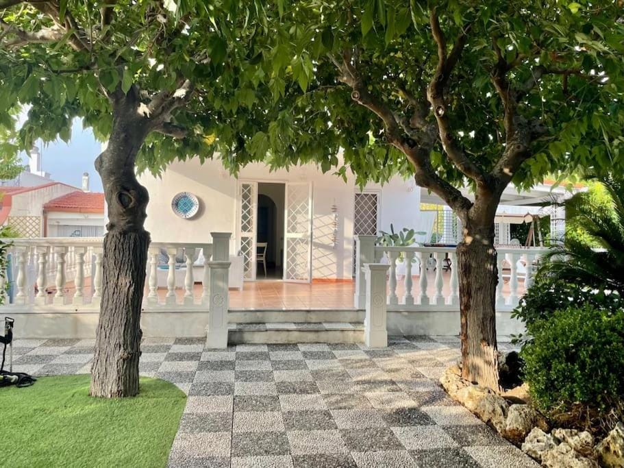 Property building, Garden, Garden, Garden view