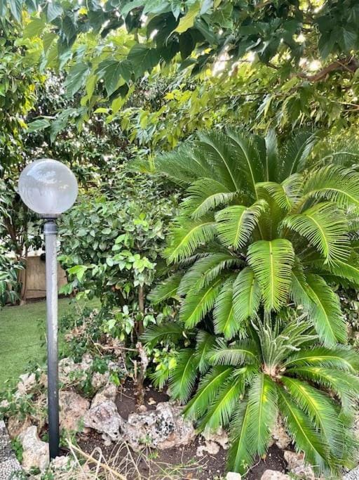Garden, Garden, Garden view