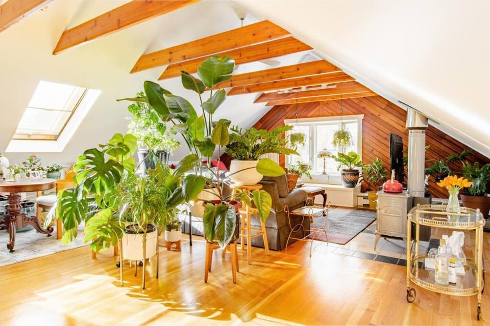 Urban Oasis in Hope Village Apartment in Providence