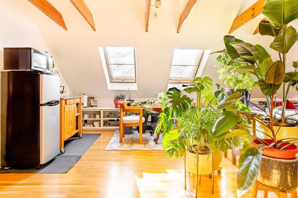 Urban Oasis in Hope Village Apartment in Providence