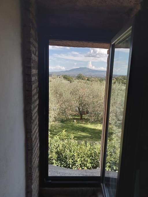Tana dello sciamano House in Montefiascone