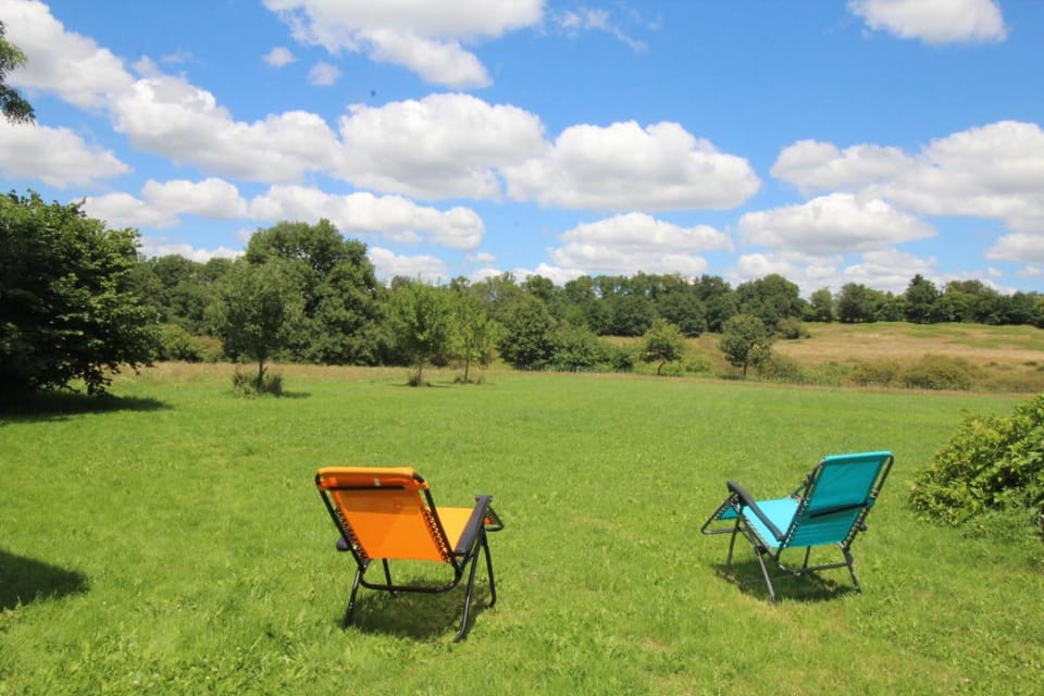 Garden view, sunbed
