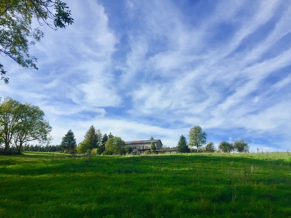 Property building, Natural landscape, Garden