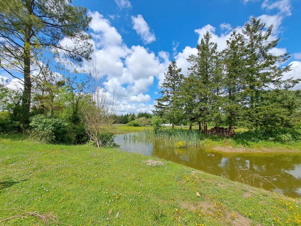 Natural landscape, Lake view