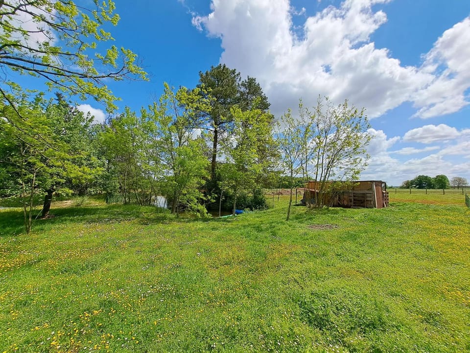 Natural landscape, Garden view
