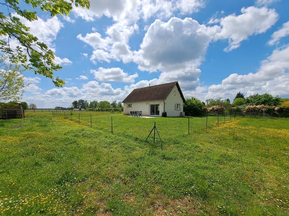Property building, Natural landscape, Garden, Garden view