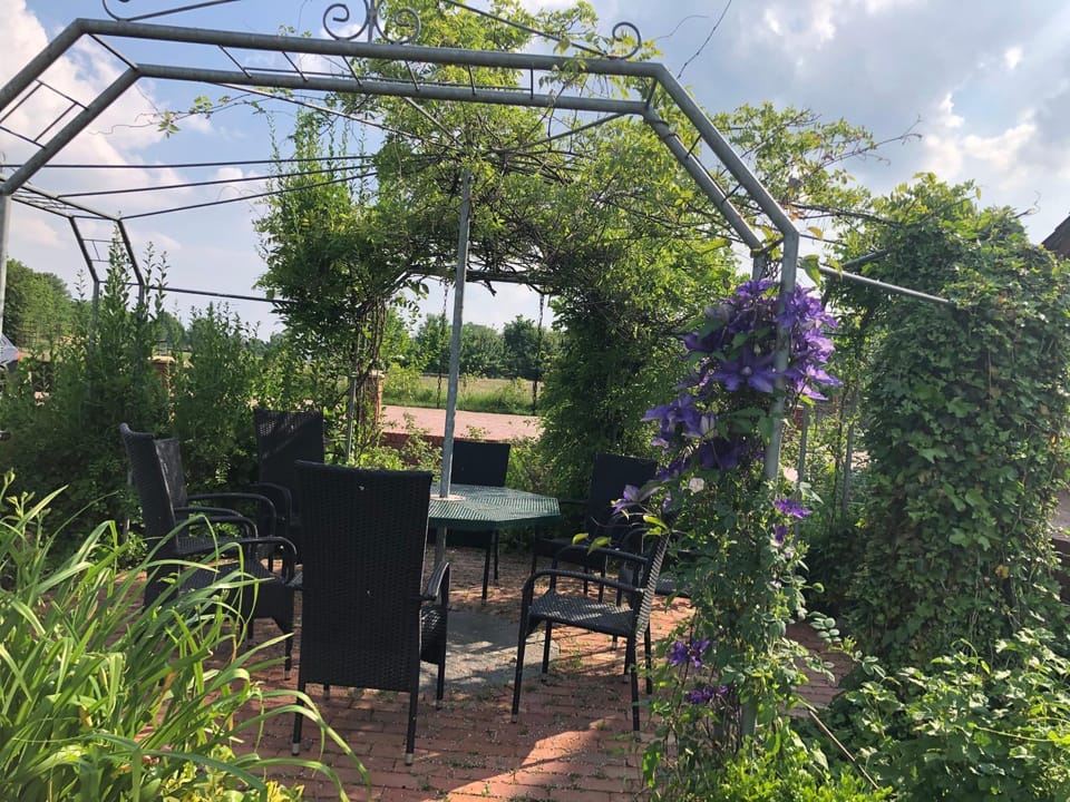 Patio, Garden, Garden view