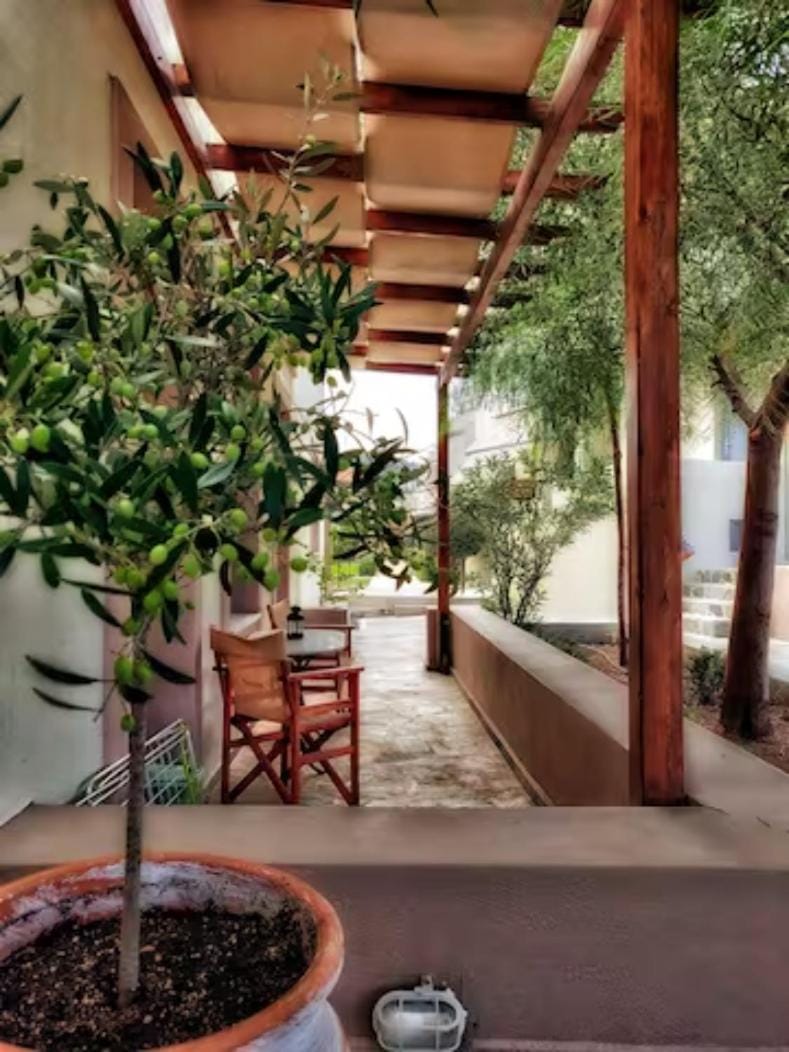 Patio, Day, Garden, Seating area, Garden view