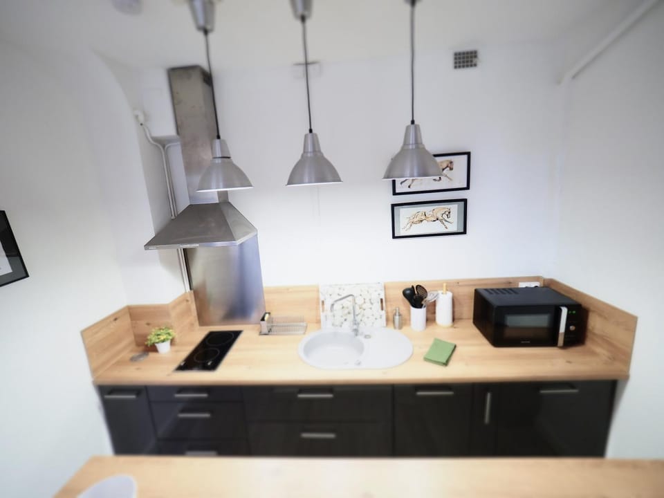 LE PLAISANCE - Face au Parc - Duplex - Balcon Apartment in Auvergne-Rhône-Alpes
