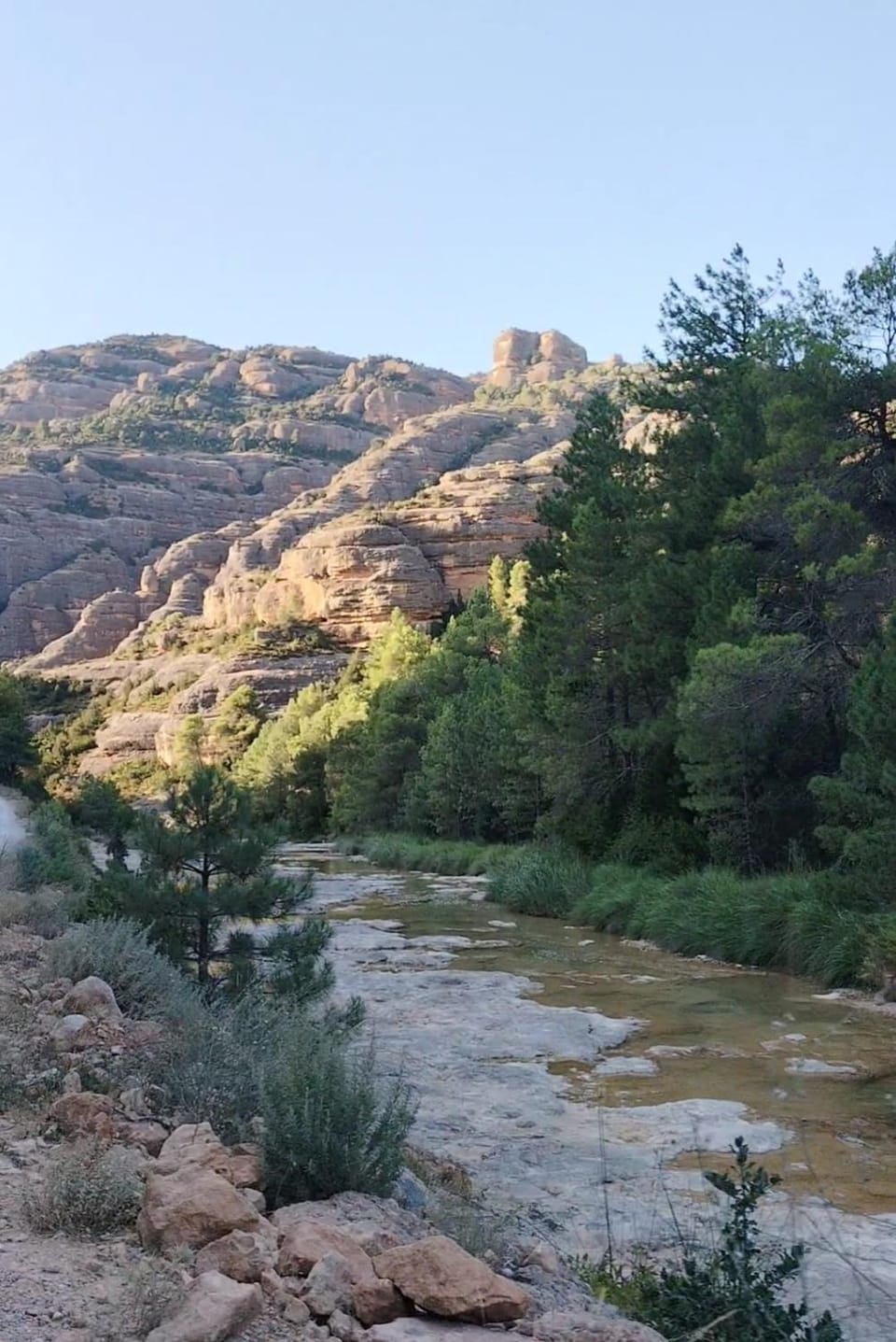Natural landscape