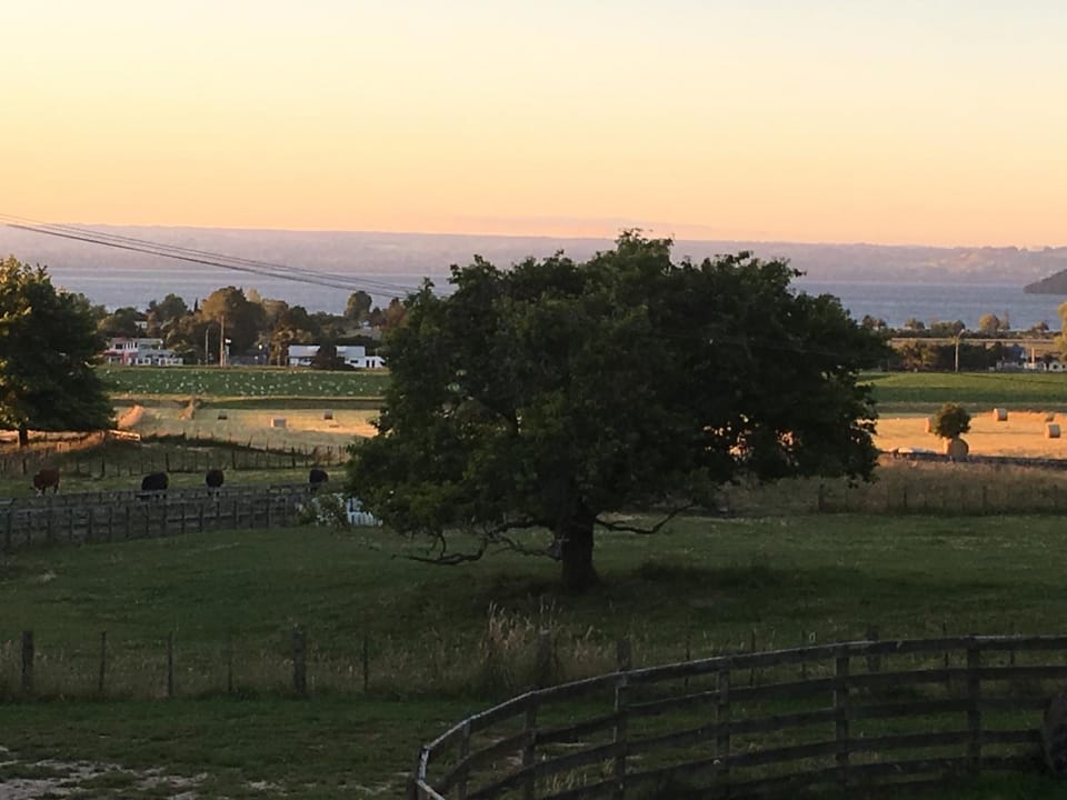 Natural landscape