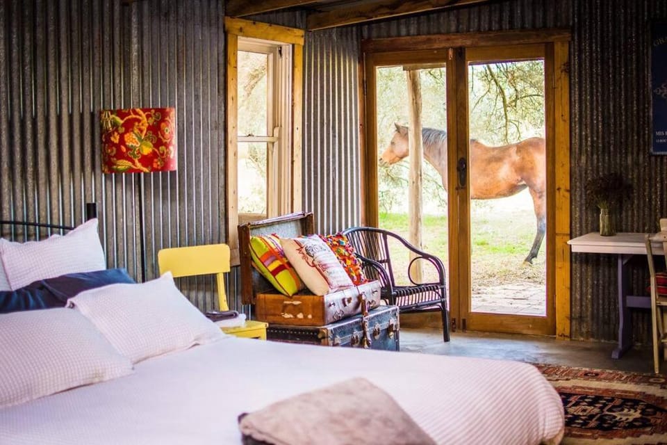 Animals, Bedroom
