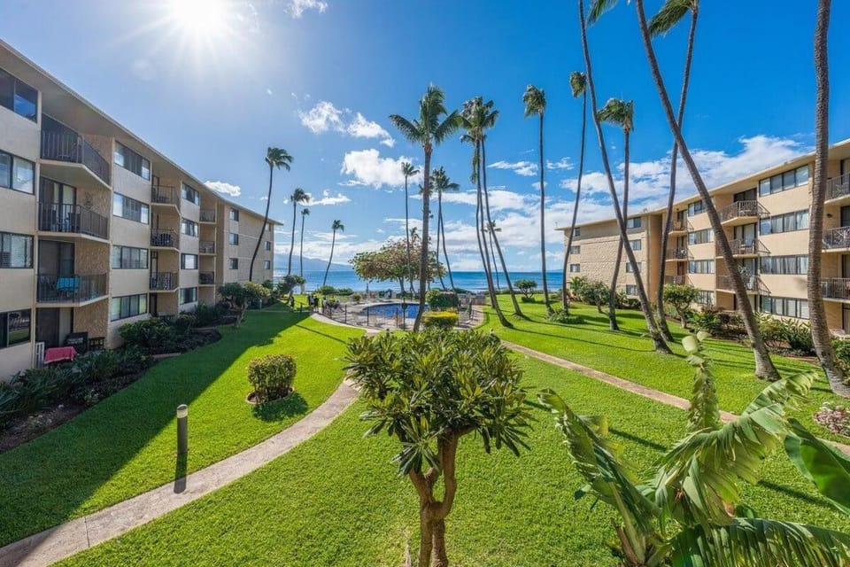 Kanai A Nalu 211 · KAN 211 Remodeled OceanFront 2BD for Whale Wa House in Maalaea