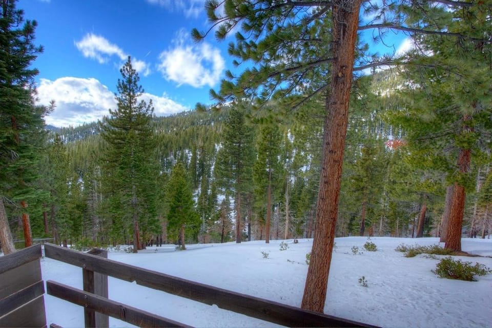 Tumbleweed Pines home House in Incline Village