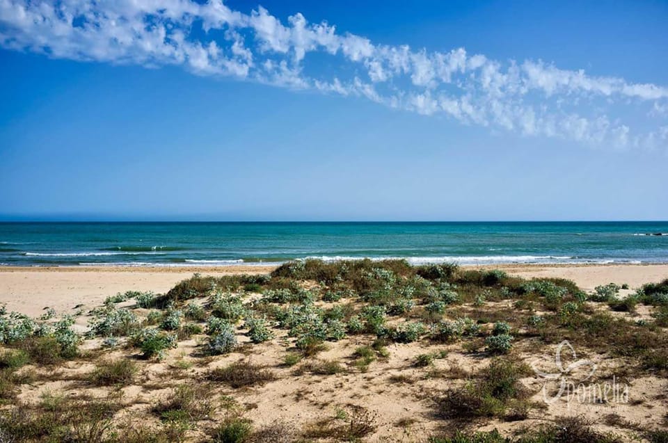 Day, Natural landscape, Beach, Sea view