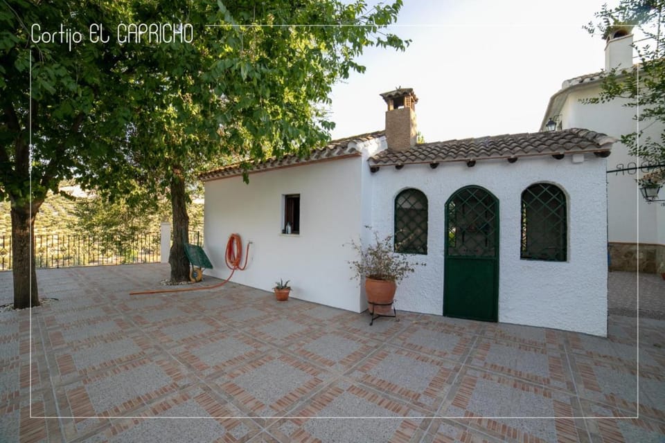 Patio, Swimming pool