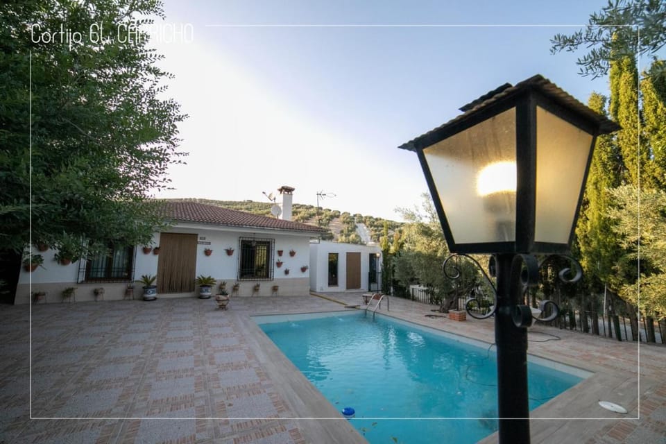 Pool view, Swimming pool, sunbed