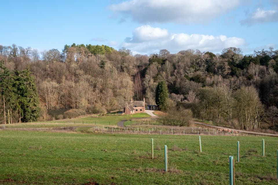 Property building, Natural landscape, View (from property/room), Garden view