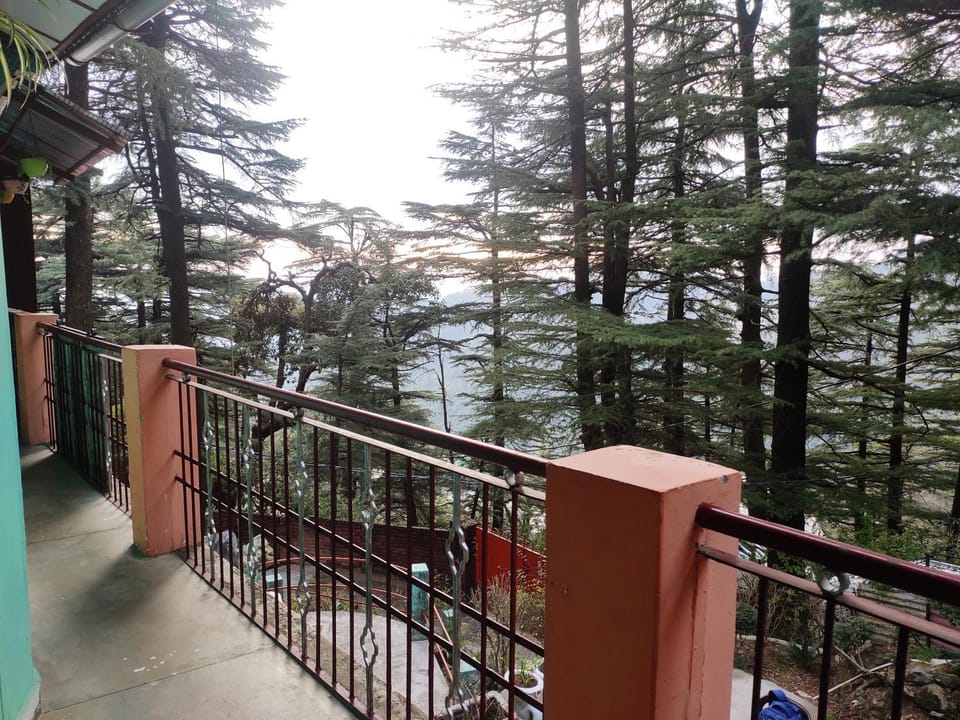 View (from property/room)