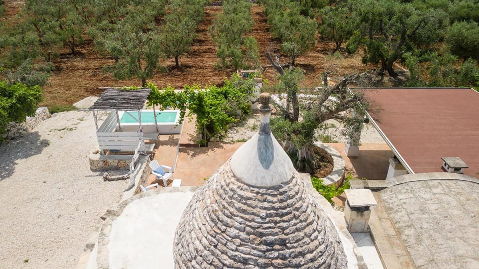 Property building, Garden, Swimming pool