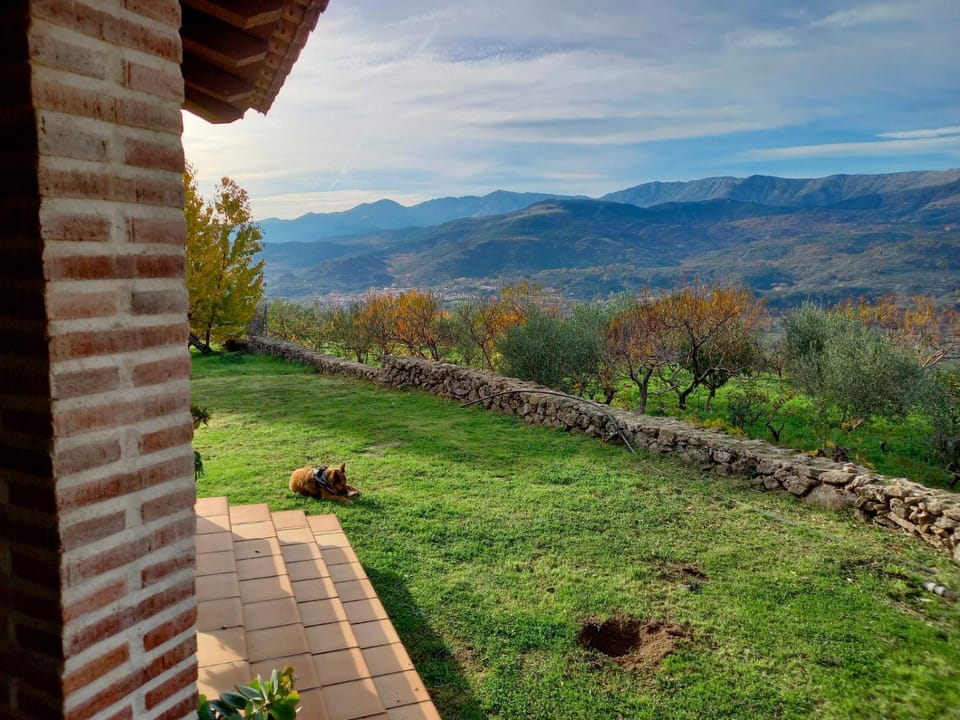 Natural landscape, Garden, Garden view, Mountain view