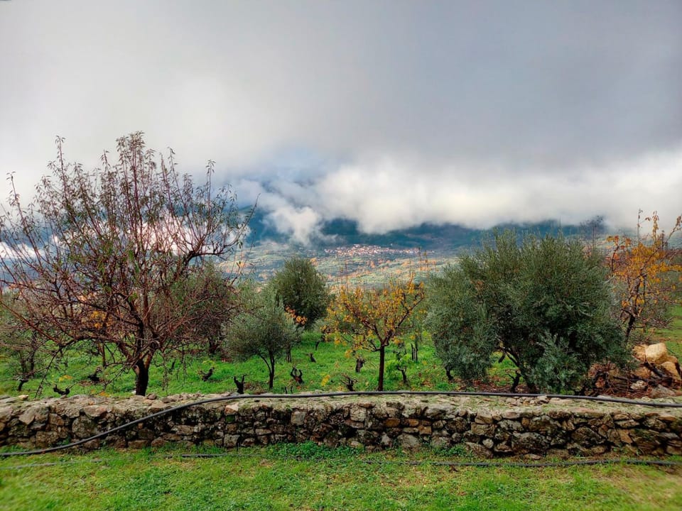Natural landscape, Mountain view