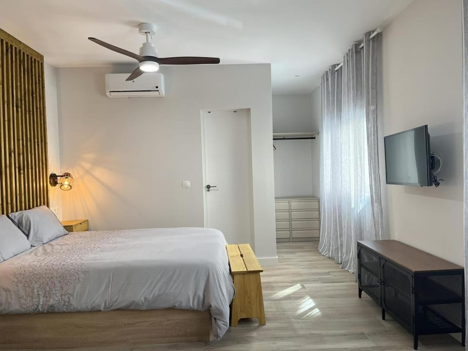 Communal lounge/ TV room, Bed, TV and multimedia, Photo of the whole room, Bedroom, fireplace, air conditioner