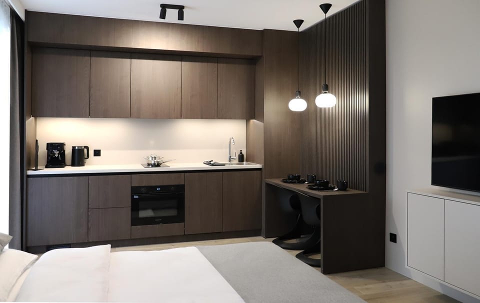 Bed, TV and multimedia, Kitchen or kitchenette, Photo of the whole room, Bedroom, minibar, pet friendly, stove
