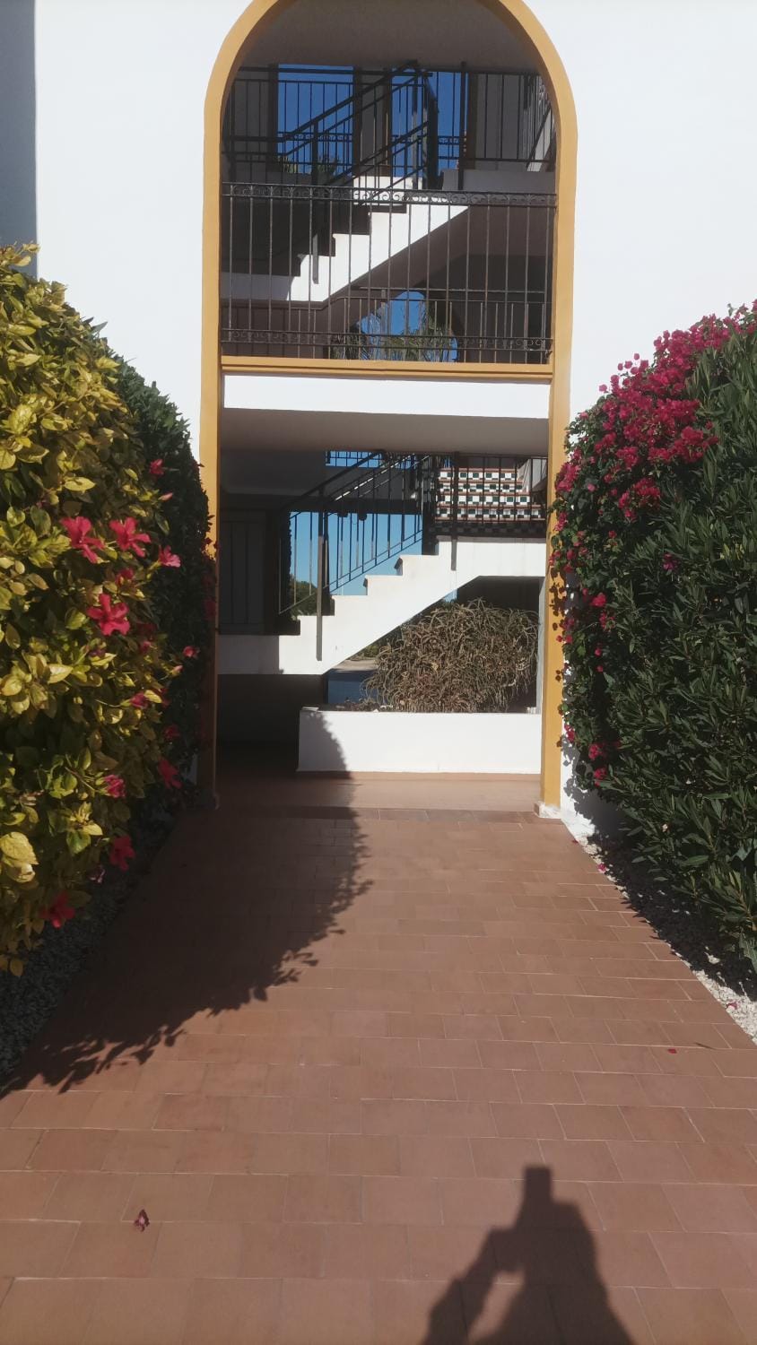 La zenia Molino blanco Apartment in Vega Baja del Segura