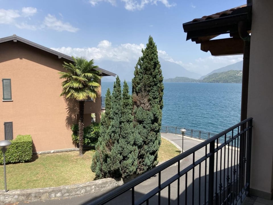 Lake view