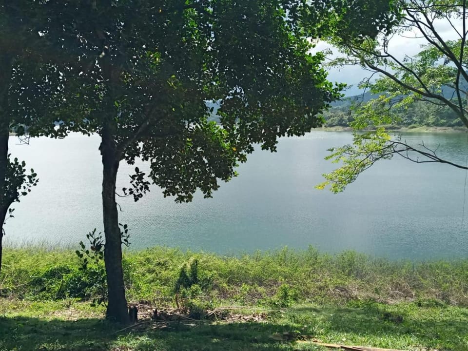 River view