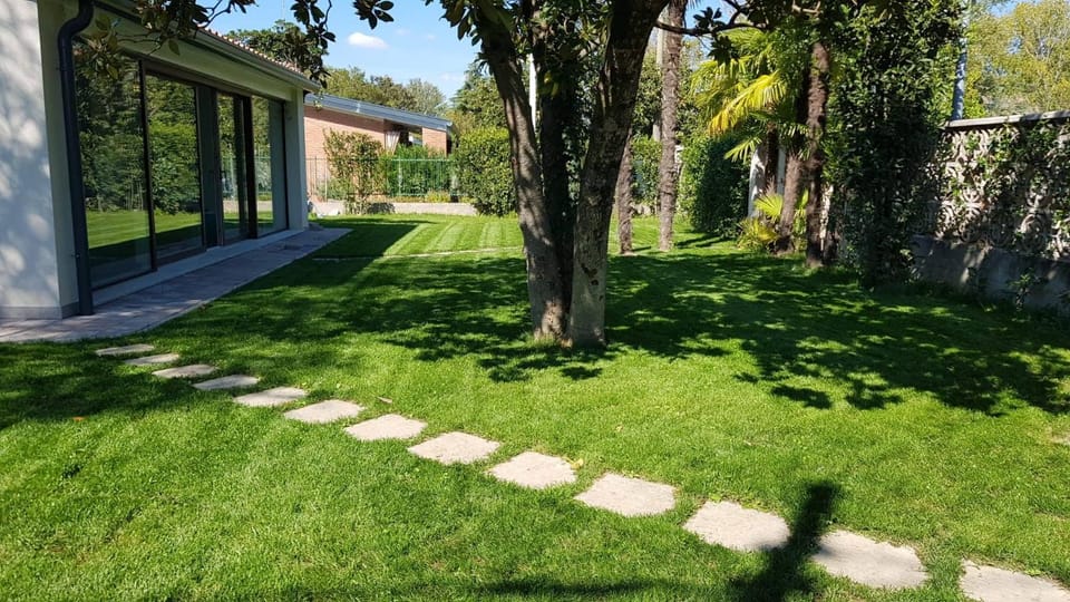 Natural landscape, Garden, Garden view