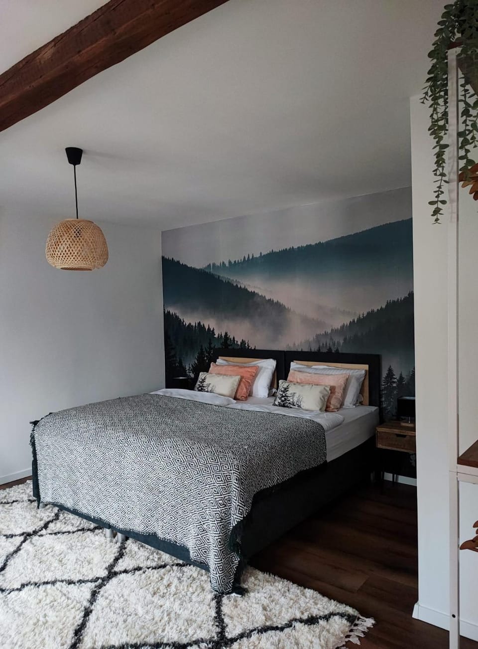Bed, Photo of the whole room