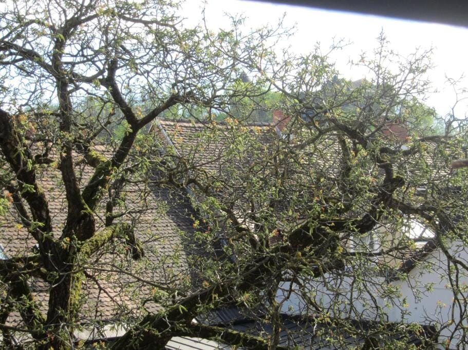 Entire apartment in the center with free parking Apartment in Ljubljana