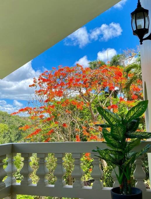 Haven Hill Place (New!!!) Villa in Caguas