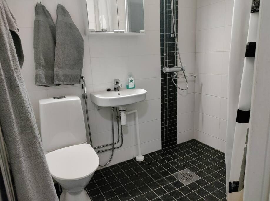 Rauhallinen upea yksiö keskustassa omalla autopaikalla Apartment in Finland