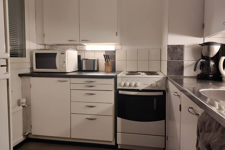 Rauhallinen upea yksiö keskustassa omalla autopaikalla Apartment in Finland