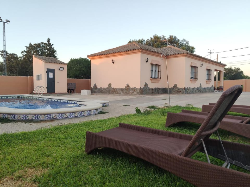 Patio, Garden, Swimming pool, sunbed