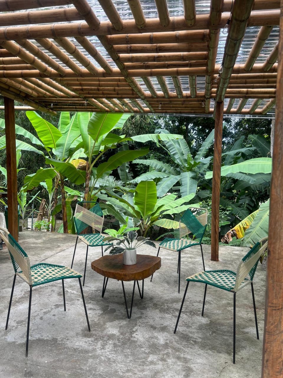 Natural landscape, Dining area, Garden view