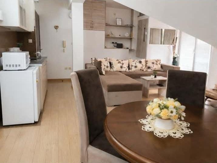 Apartman Vrnjacka zora Apartment in Serbia
