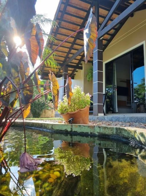 Garden, Garden view