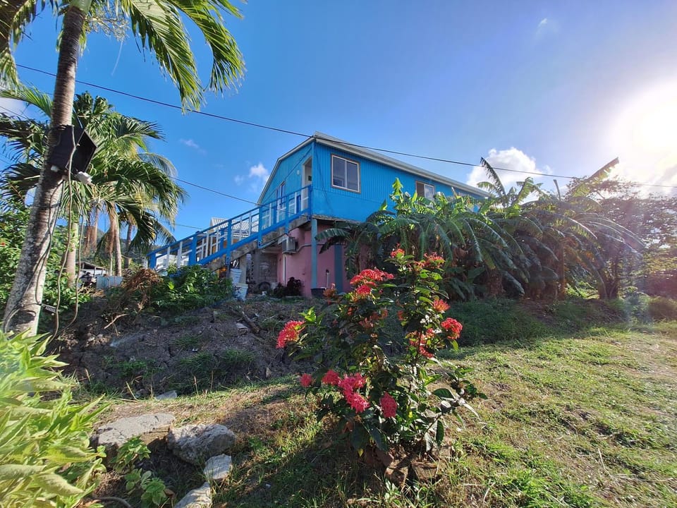 Property building, Garden, Garden view