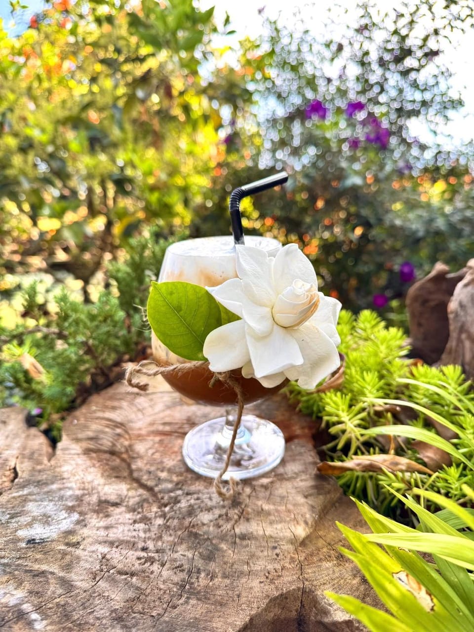 Nacasoo hill Nature lodge in Dalat